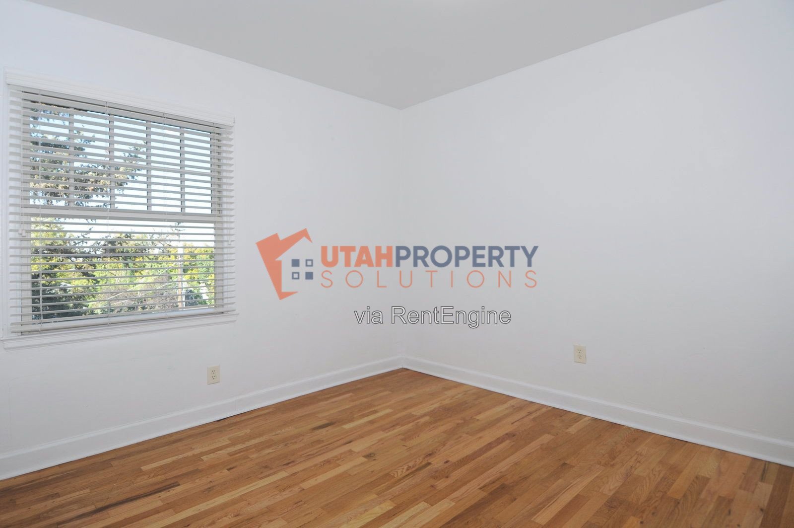 Gorgeous 2 Bed In Avenues - Parking Included! property image