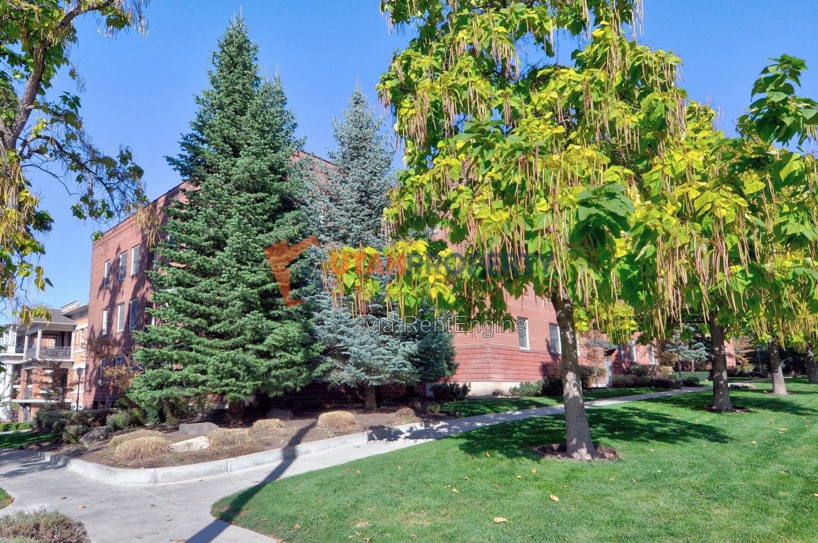 Gorgeous 2 Bed In Avenues - Parking Included! property image