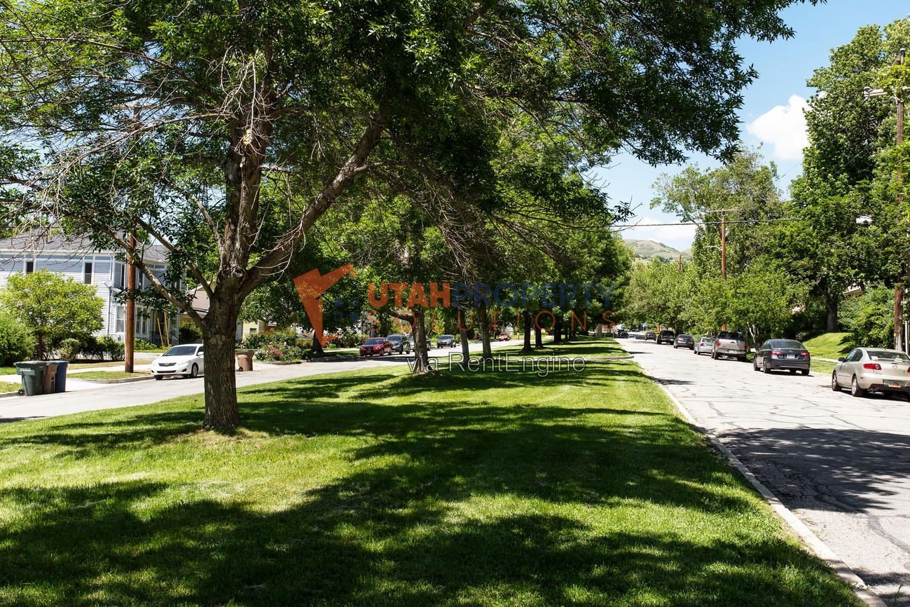 Beautiful Top Floor Apartment in Salt Lake! property image